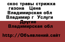 скос травы стрижка газона › Цена ­ 300 - Владимирская обл., Владимир г. Услуги » Другие   . Владимирская обл.